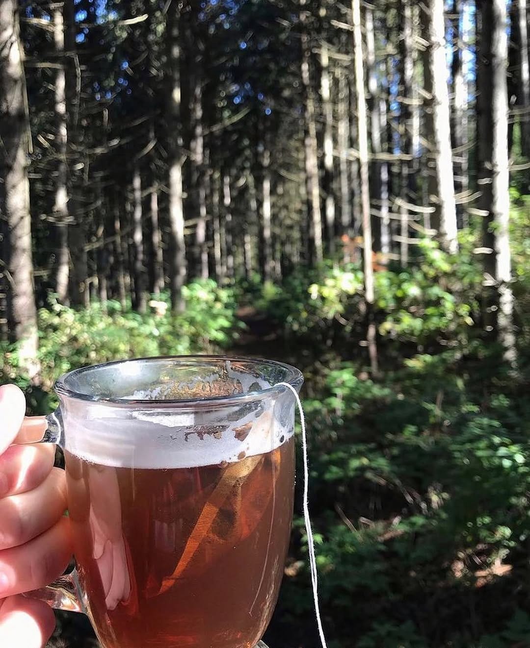 Post 2 by Lion’s Mane Tea on Instagram (image)