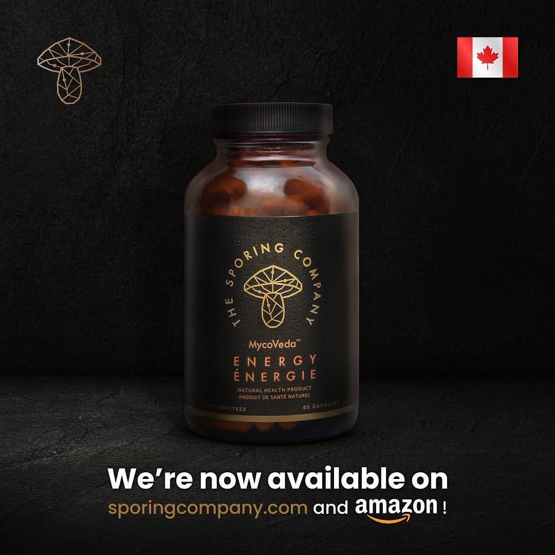 Post 1 by Lion’s Mane Tea on Instagram (image)