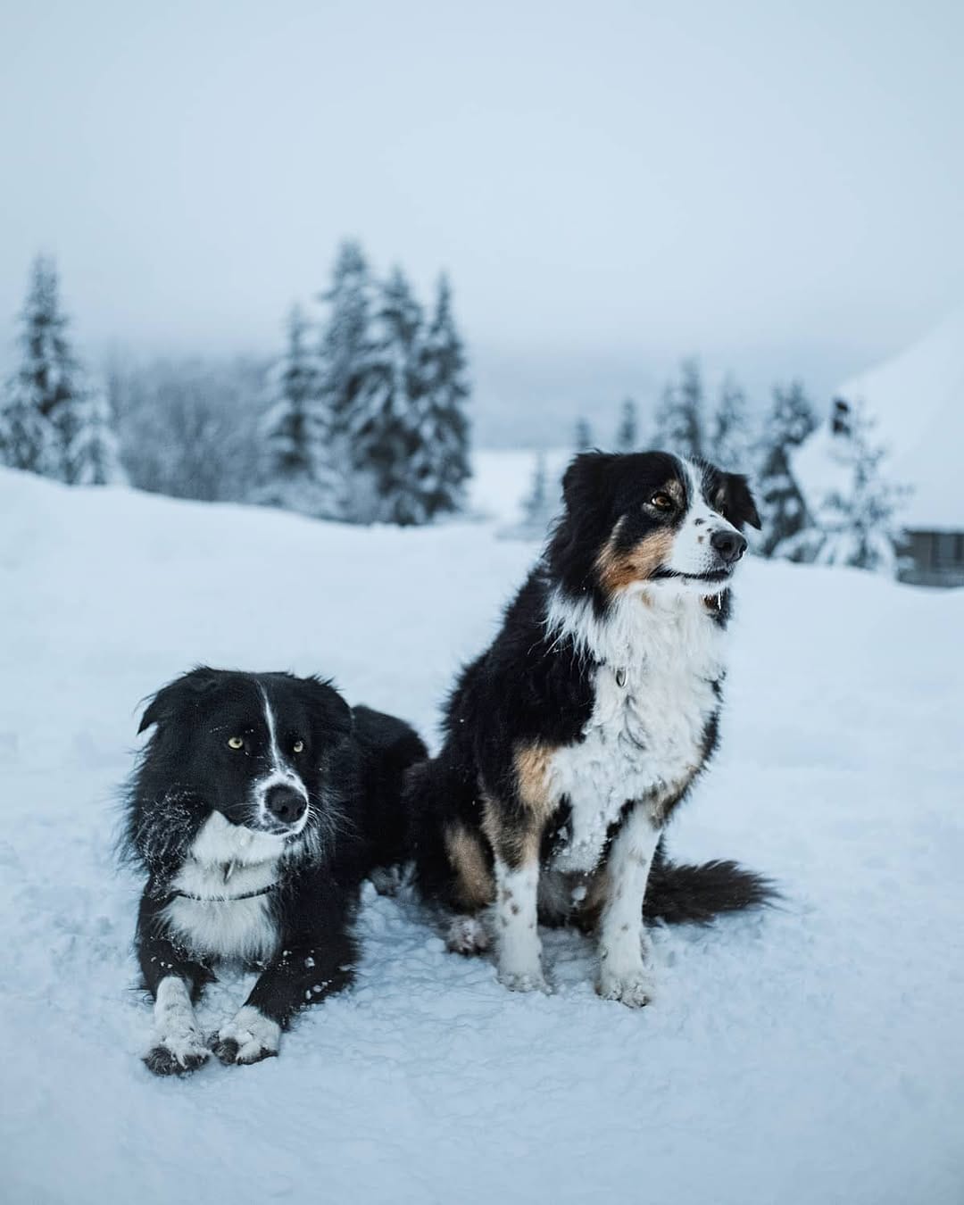 Post 8 by Laurent Katzer on Instagram (image)