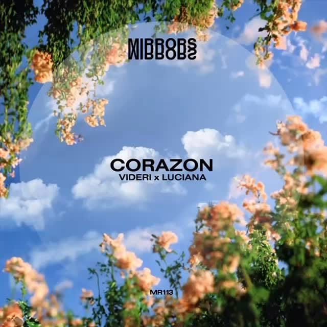 Post 3 by Videri on Instagram (video)