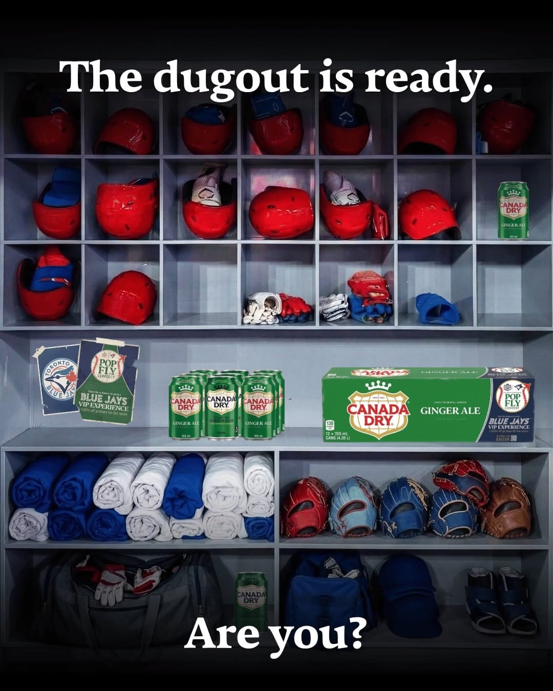 Post 8 by Canada Dry on Instagram (carousel)