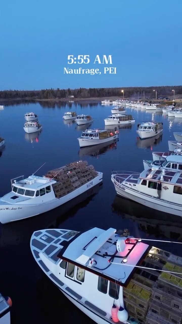 Post 10 by Canada's Food Island (PEI) on Instagram (video)