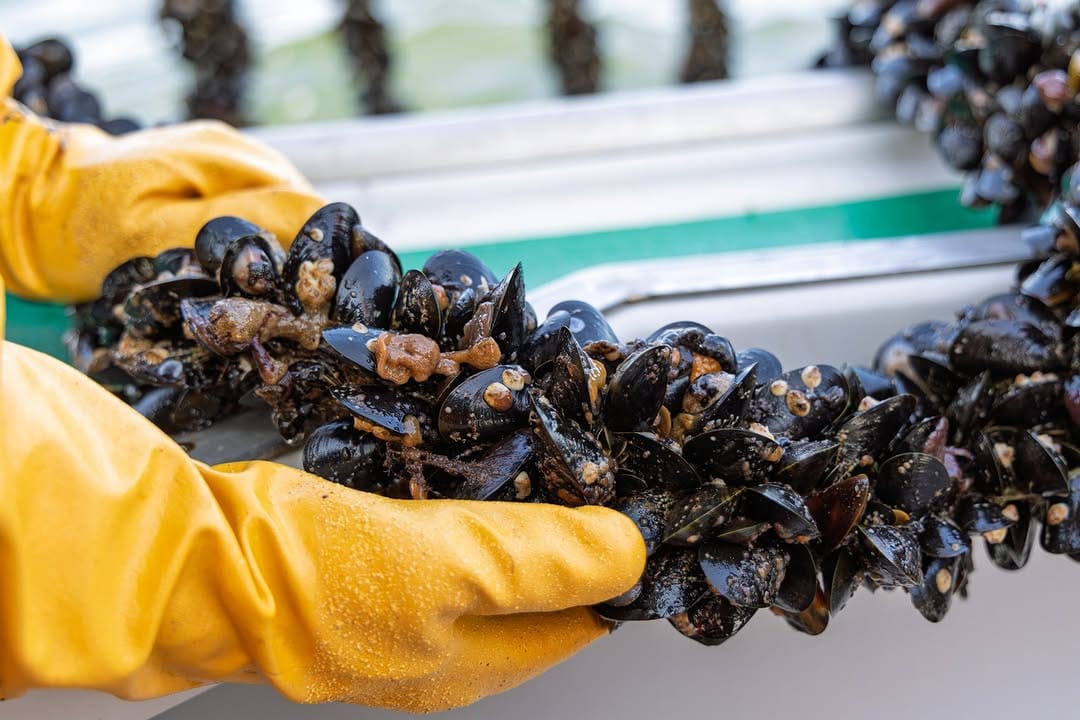 Post 4 by Canada's Food Island (PEI) on Instagram (image)