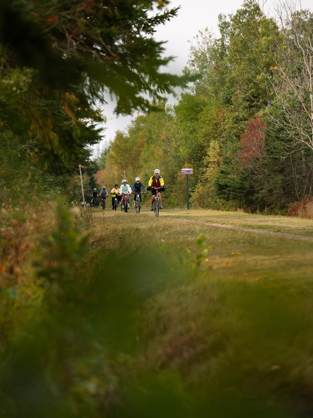 Post 5 by Canada's Food Island (PEI) on Instagram (carousel)