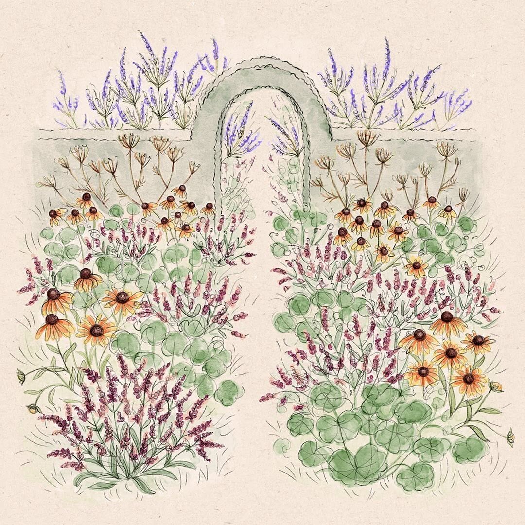 Post 7 by Marion • Illustration & Grafikdesign on Instagram (image)