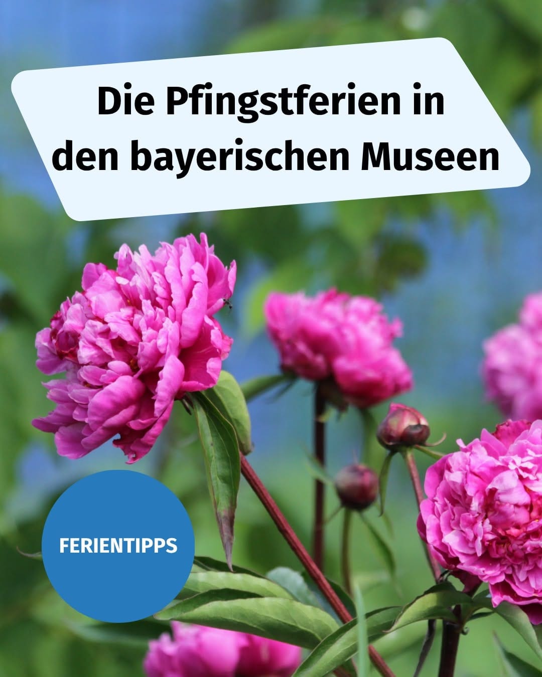 Post 5 by Infopoint Museen und Schlösser on Instagram (carousel)