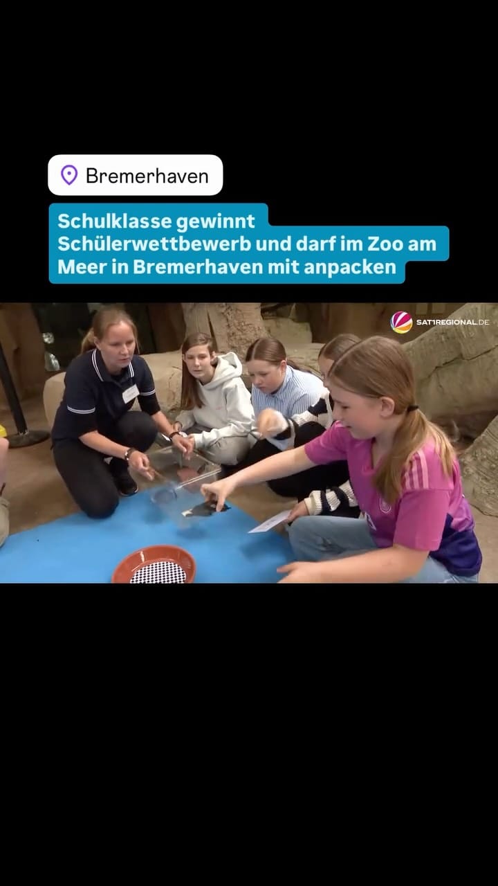 Post 2 by SAT.1 REGIONAL Norddeutschland on Instagram (video)