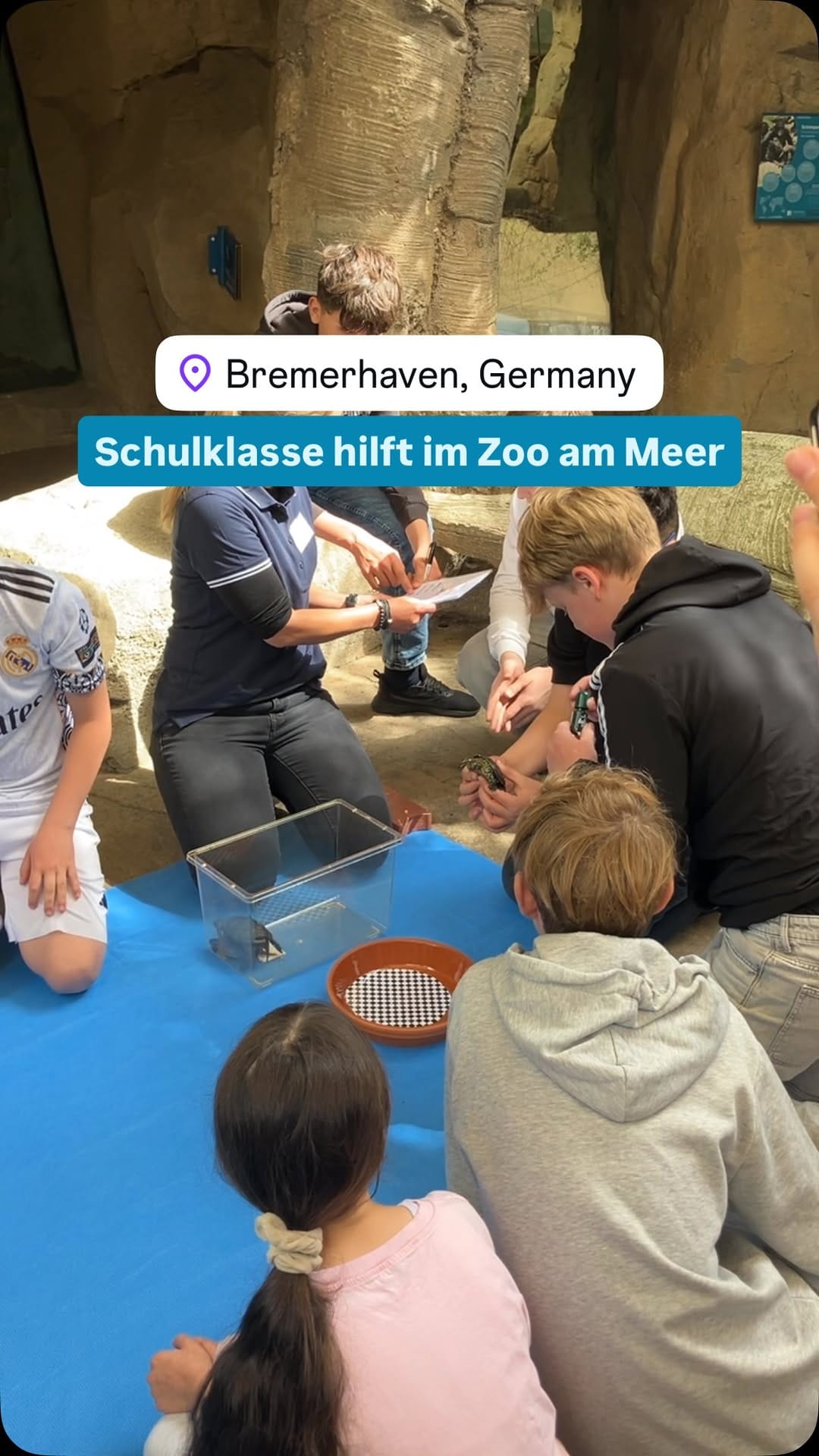 Post 9 by SAT.1 REGIONAL Norddeutschland on Instagram (video)