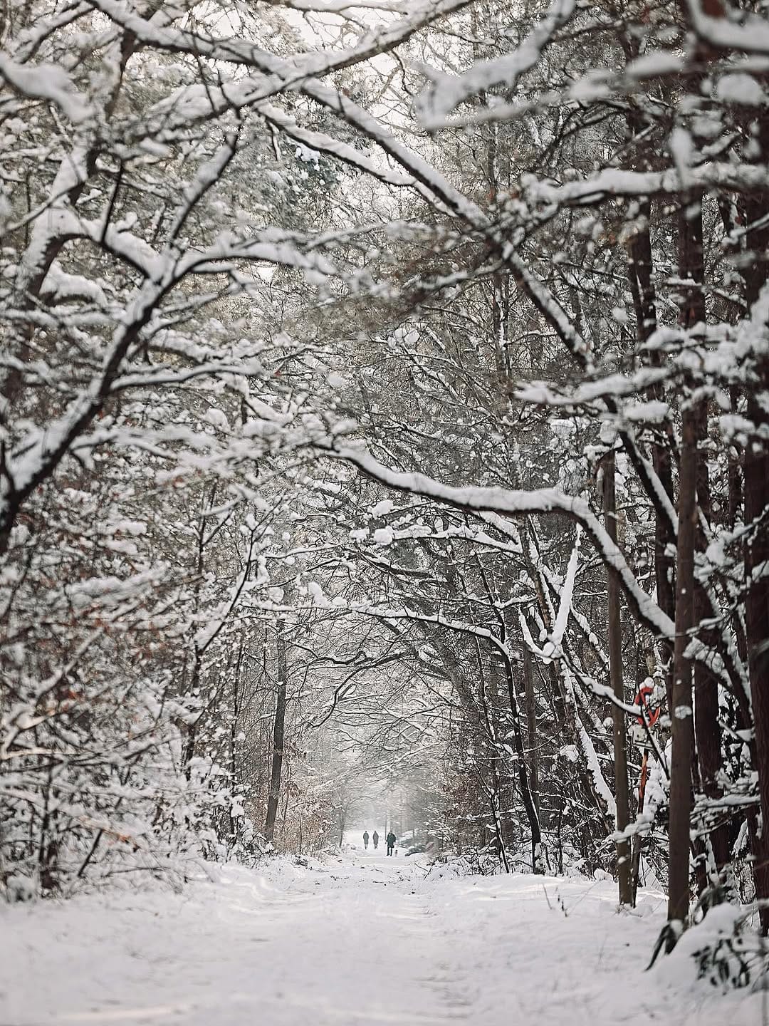 Post 10 by Sebastian Fuchs on Instagram (image)
