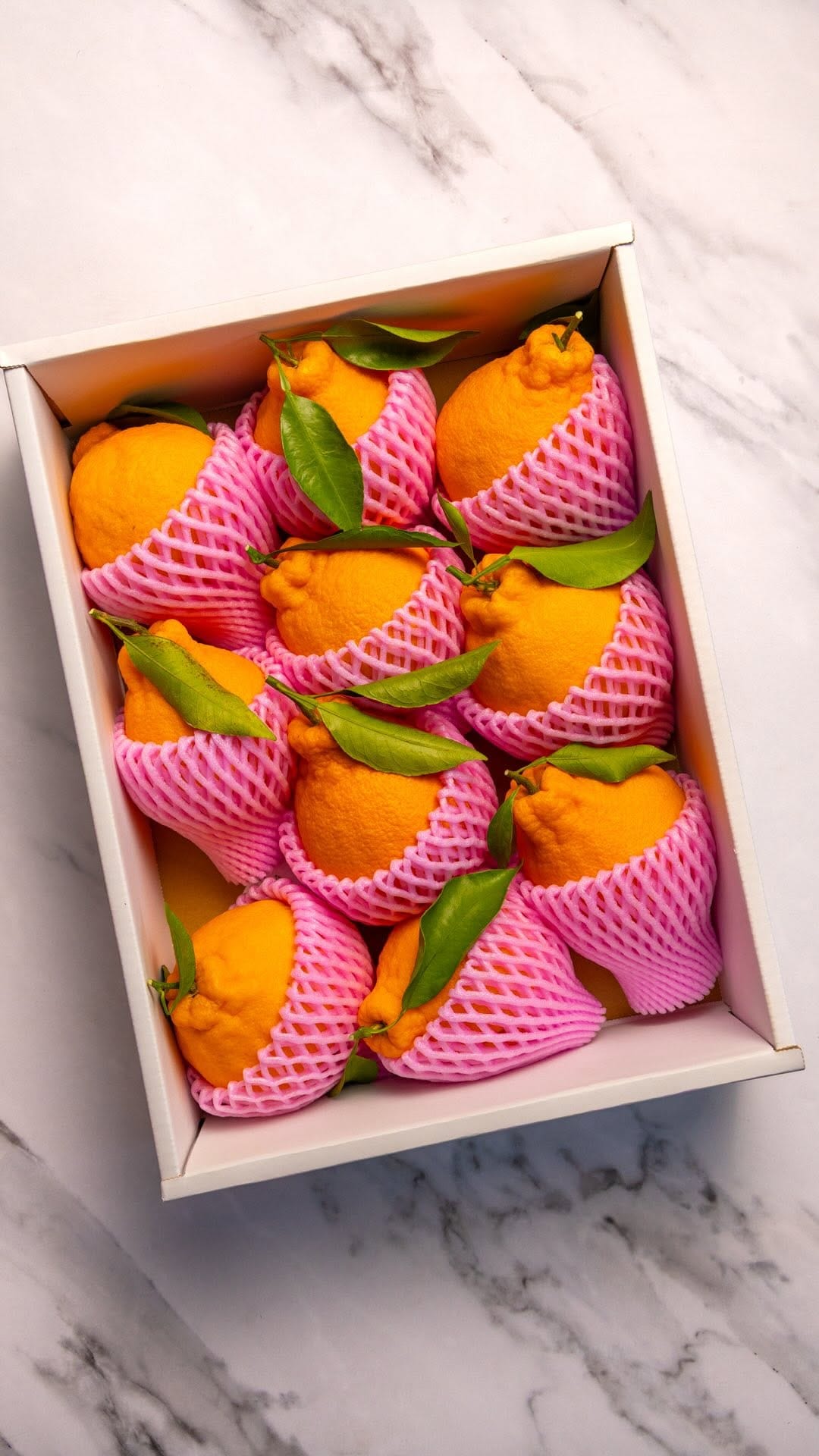 Post 2 by Daily Seafood on Instagram (video)
