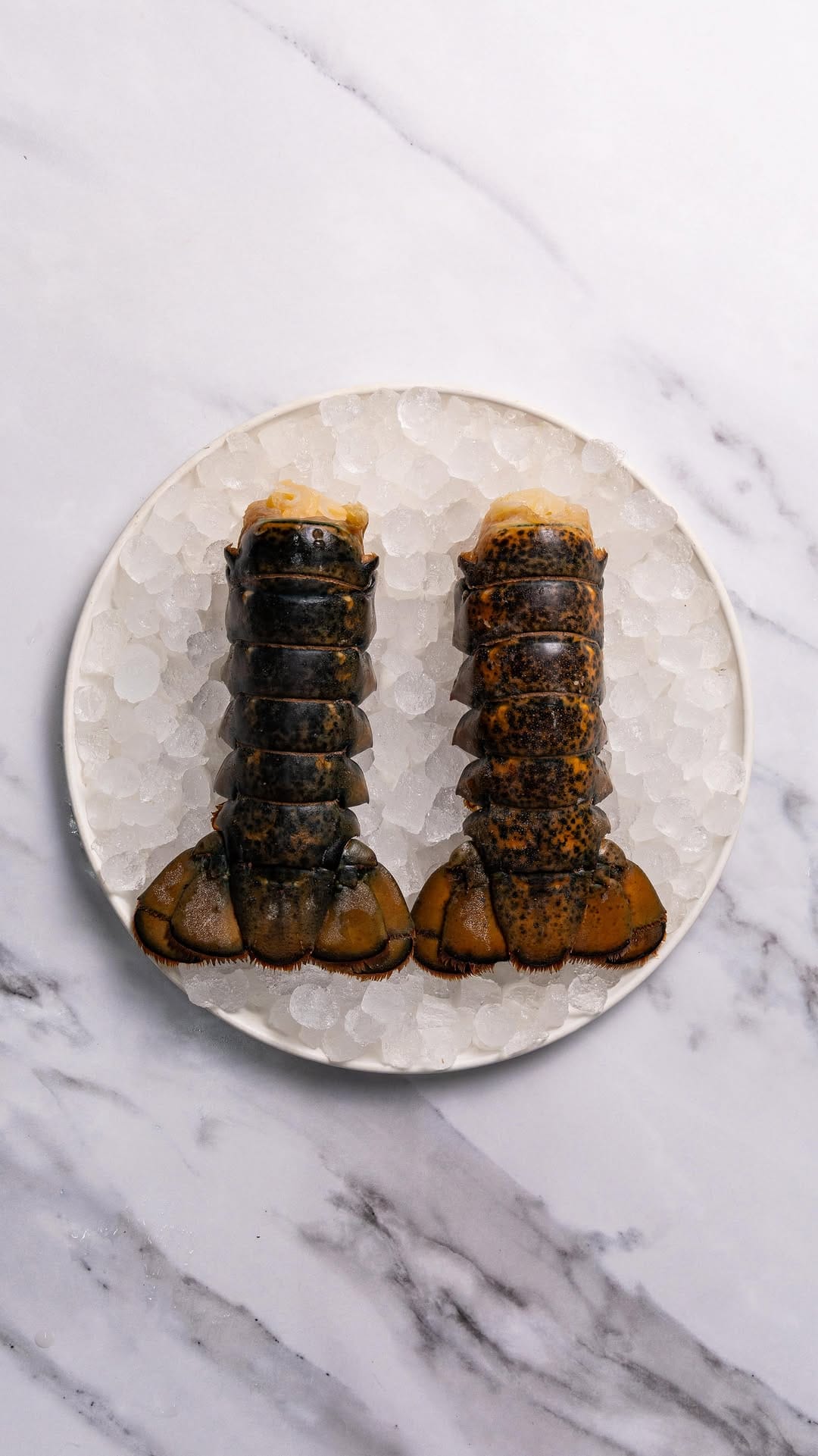 Post 7 by Daily Seafood on Instagram (video)