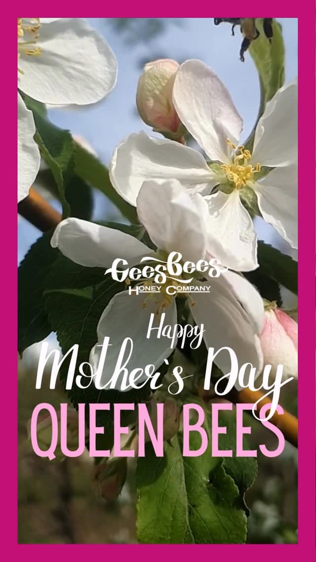 Post 6 by Gees Bees Honey Company on Instagram (video)