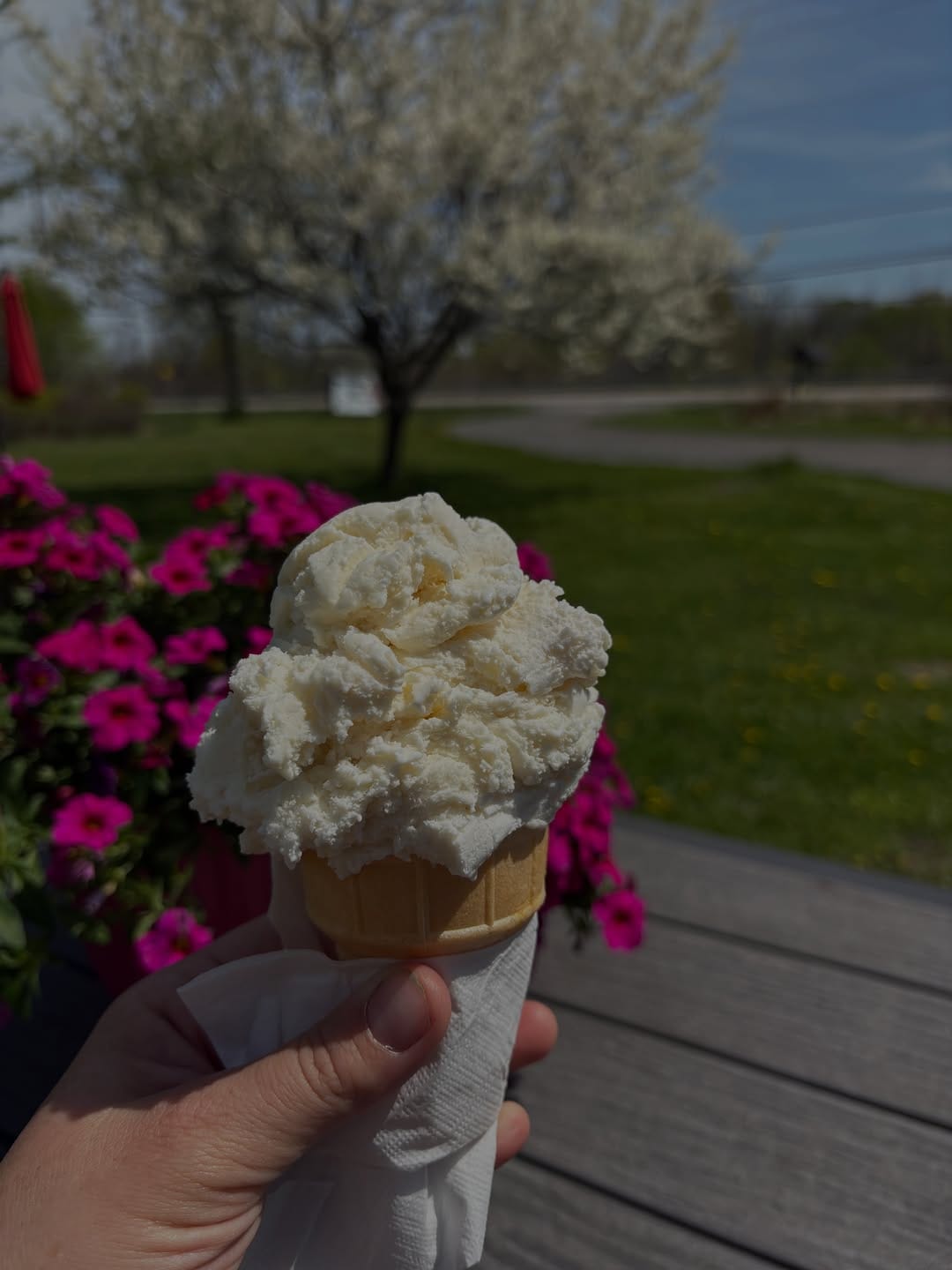 Post 3 by Gees Bees Honey Company on Instagram (image)