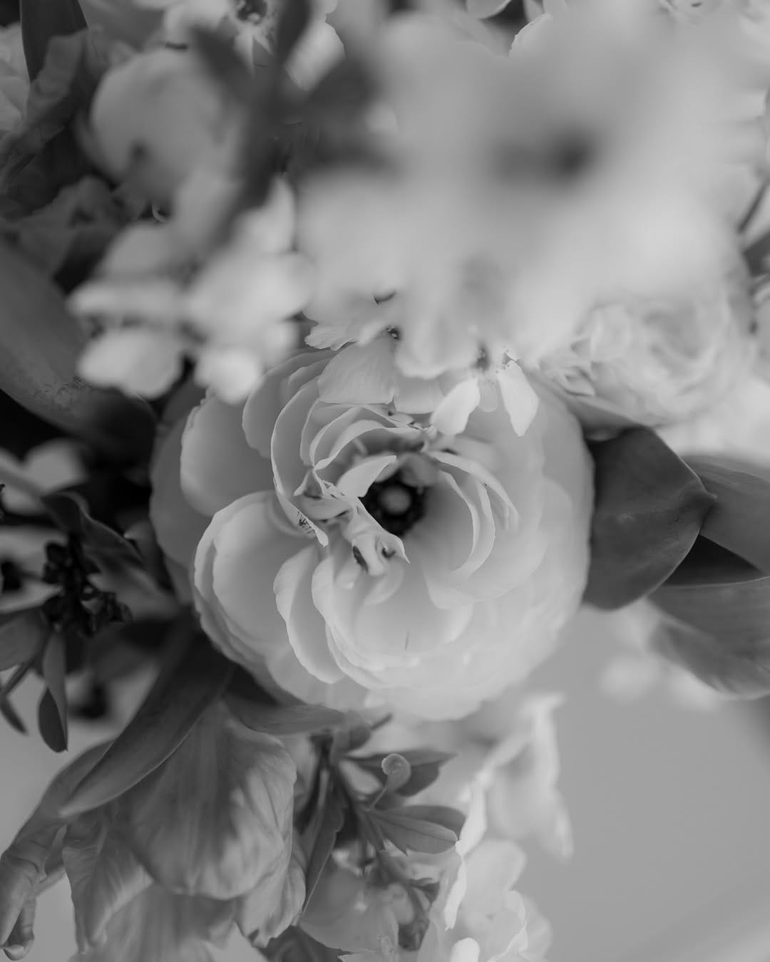 Post 8 by Rosmarin & Thymian Ludwigsburg on Instagram (carousel)