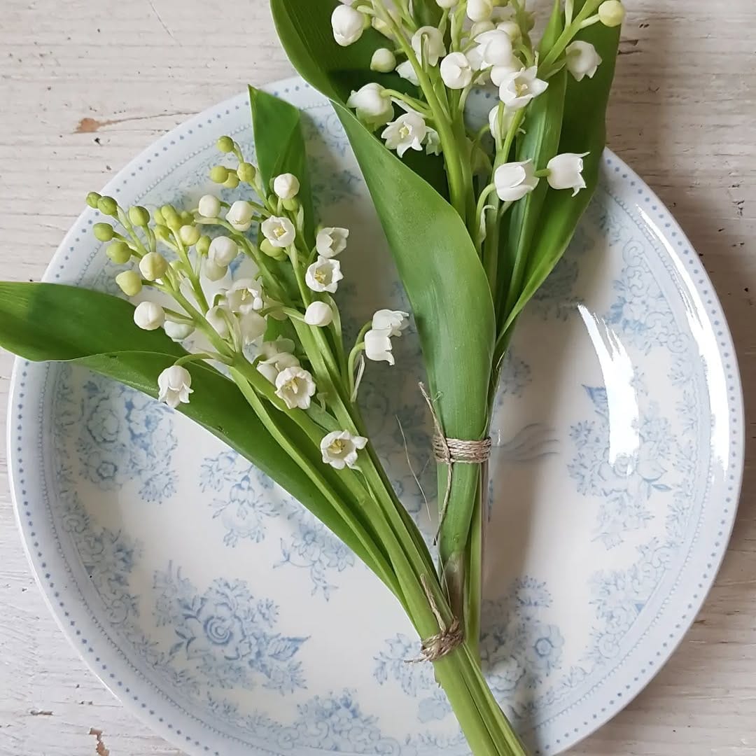Post 6 by Rosmarin & Thymian Ludwigsburg on Instagram (image)