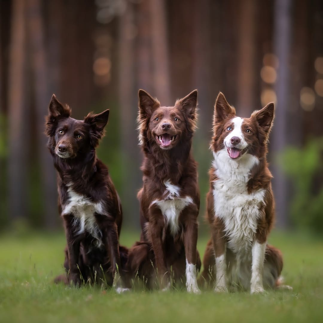 Post 1 by Mykie, Hazel & Alicia on Instagram (image)