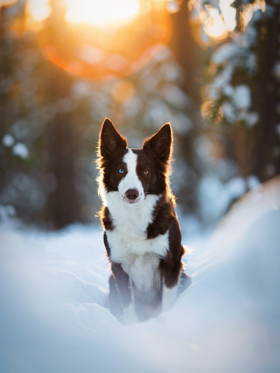 Post 4 by Mykie, Hazel & Alicia on Instagram (image)