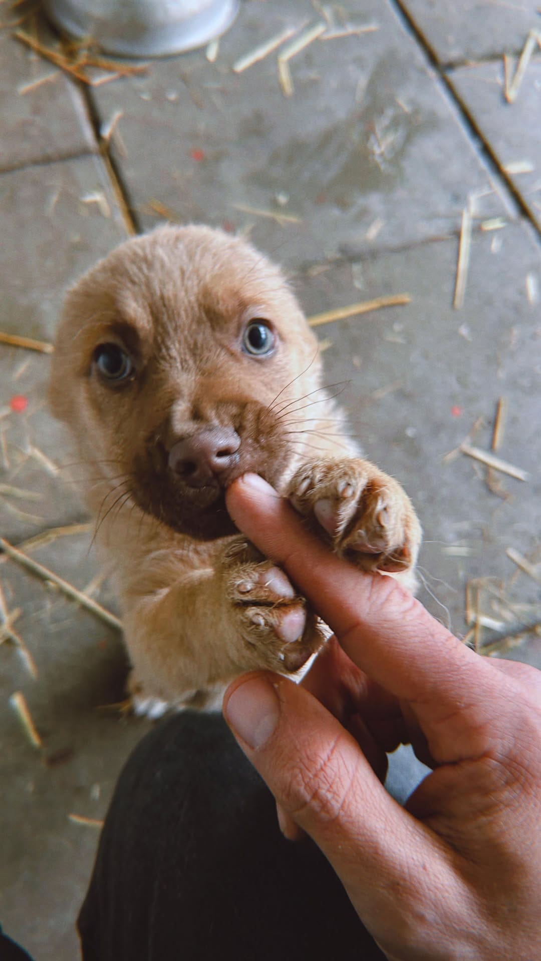Post 2 by Anna on Instagram (video)