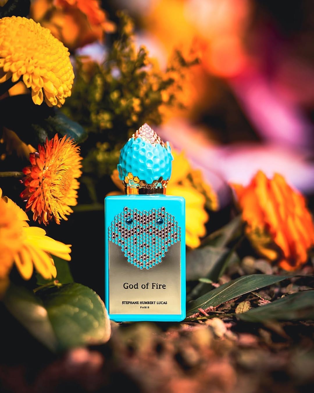 Post 6 by Gilbert Aroma on Instagram (image)