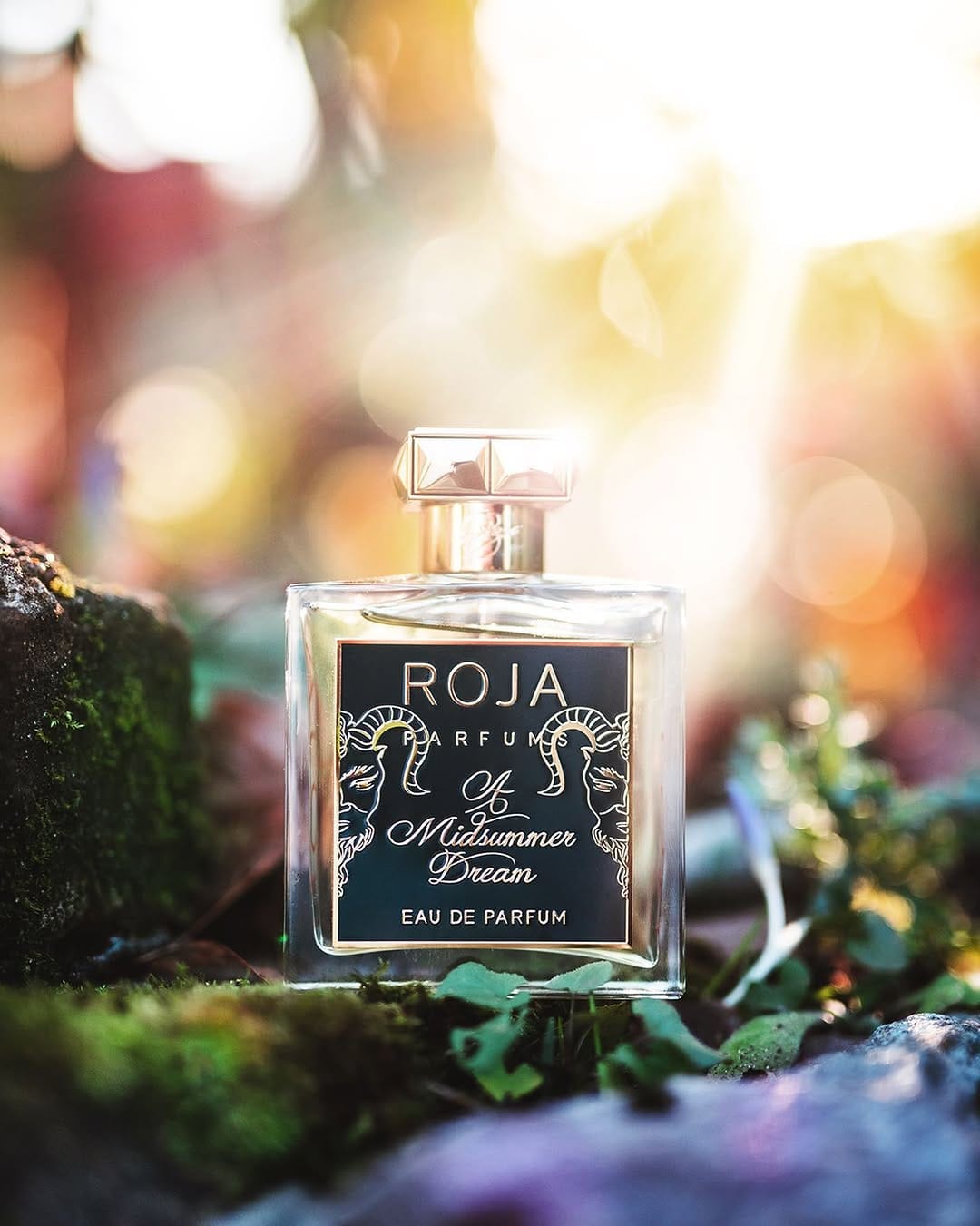 Post 8 by Gilbert Aroma on Instagram (image)