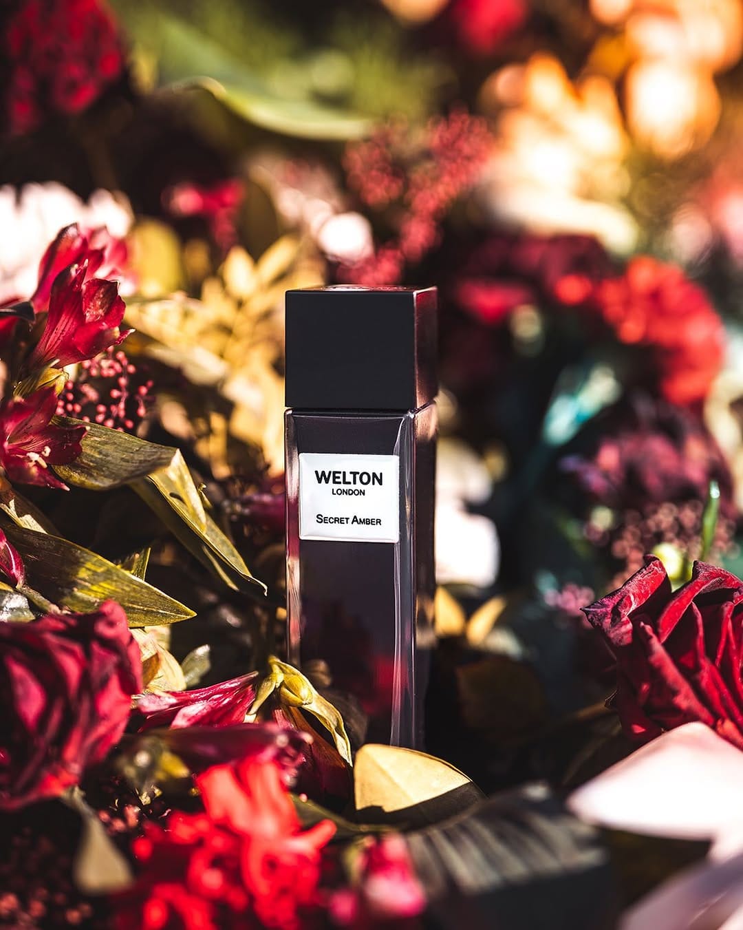 Post 10 by Gilbert Aroma on Instagram (image)