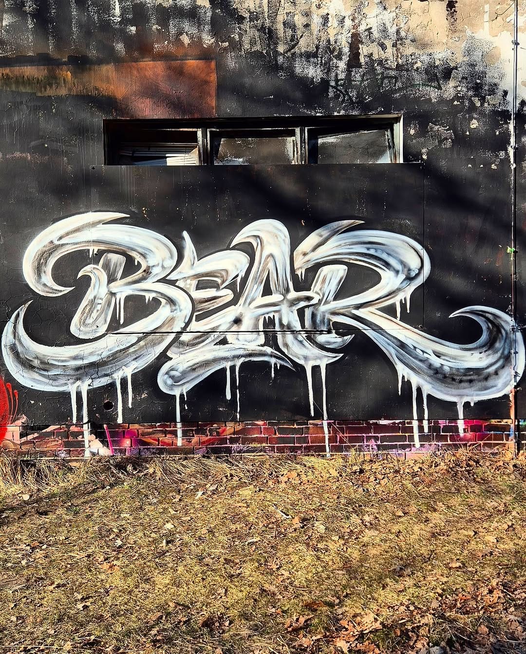 Post 6 by |BEAR| on Instagram (image)