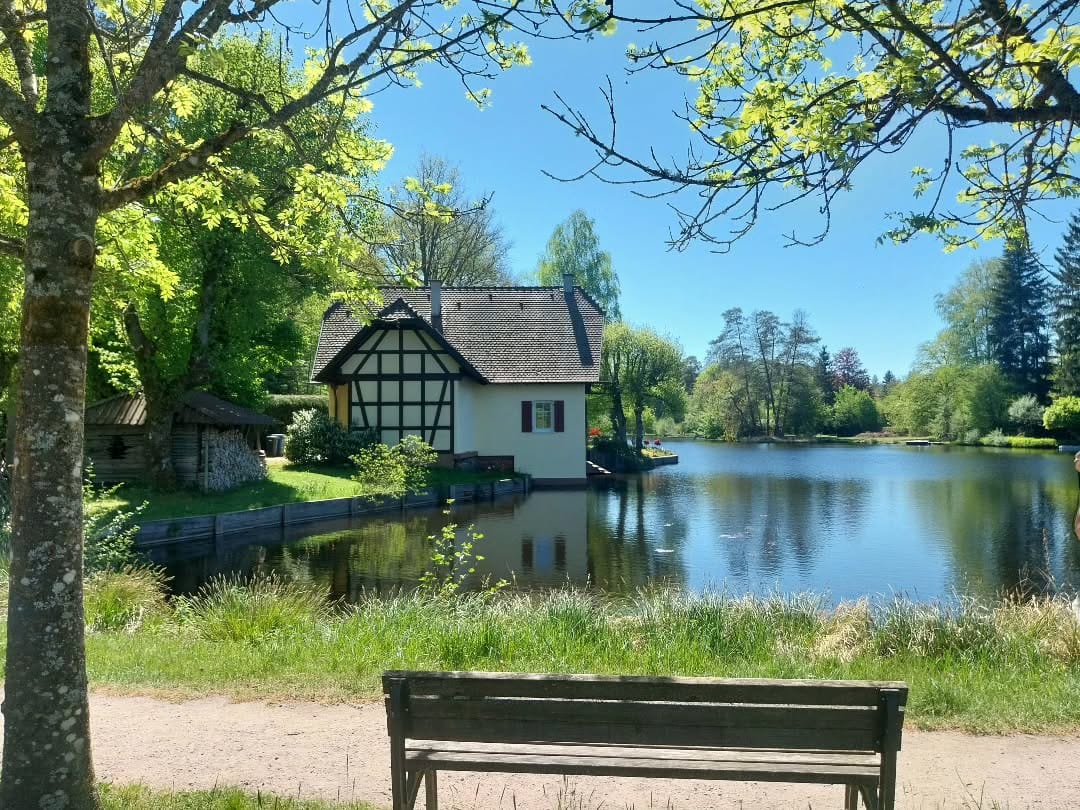Post 9 by Tanja Zahner on Instagram (image)