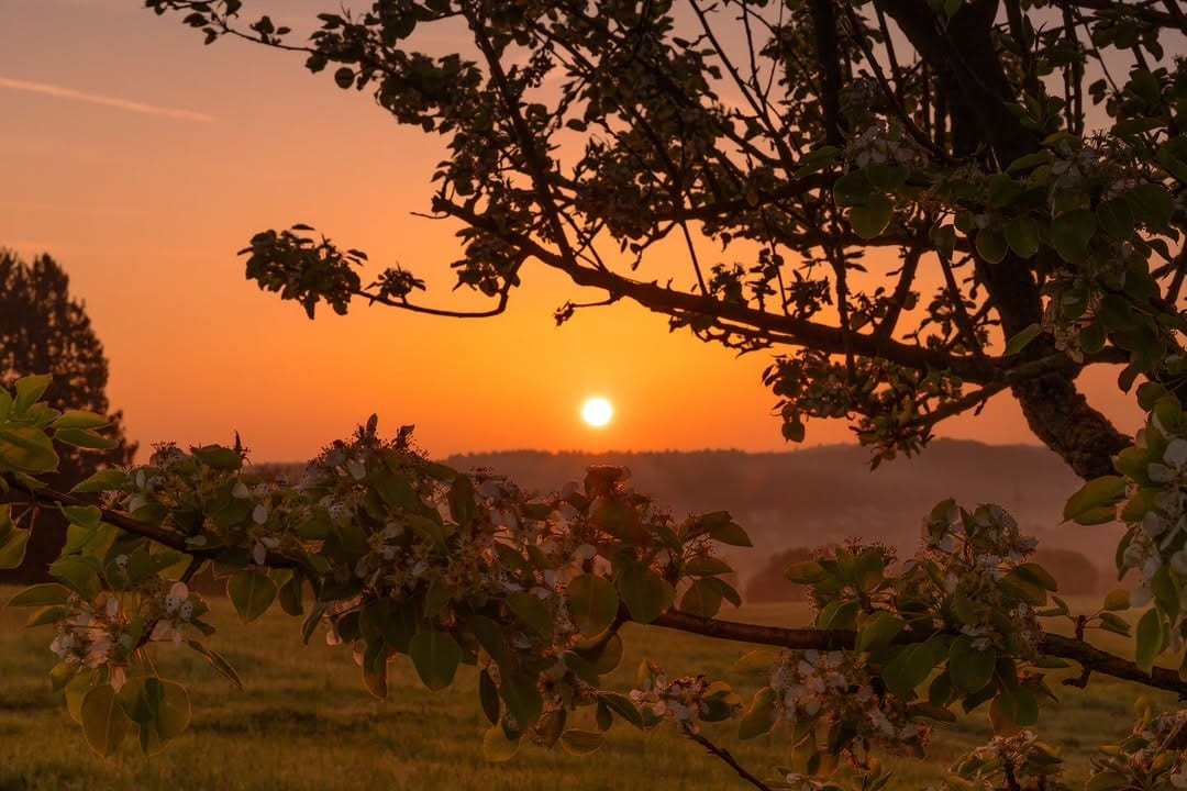 Post 2 by Udo Hartmann on Instagram (image)