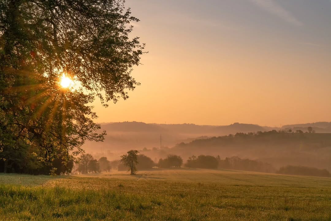 Post 3 by Udo Hartmann on Instagram (image)