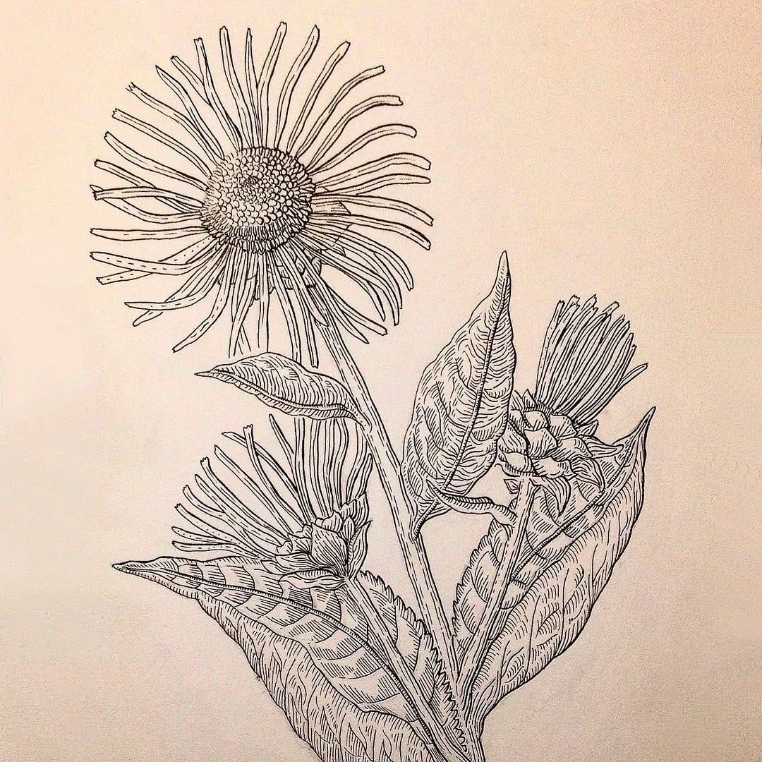 Post 8 by 🌿Rosie Howell🌿 on Instagram (image)
