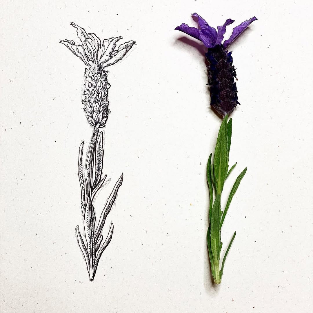 Post 10 by 🌿Rosie Howell🌿 on Instagram (image)