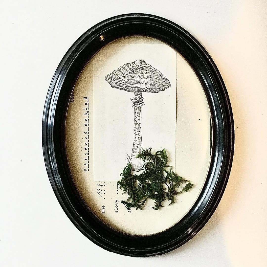 Post 9 by 🌿Rosie Howell🌿 on Instagram (image)