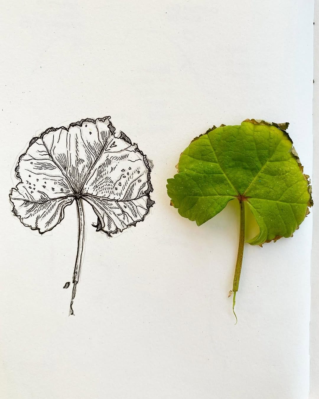 Post 6 by 🌿Rosie Howell🌿 on Instagram (image)