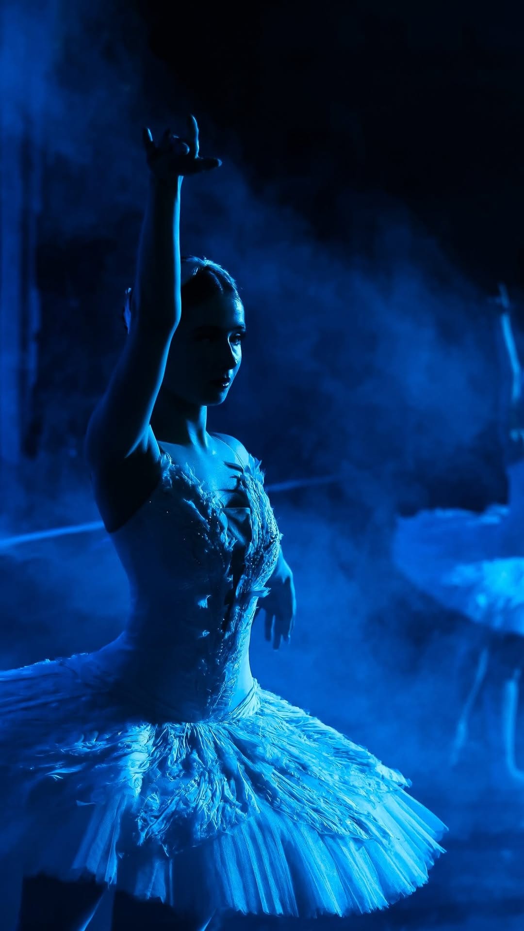 Post 5 by Grand Classic Ballet on Instagram (video)