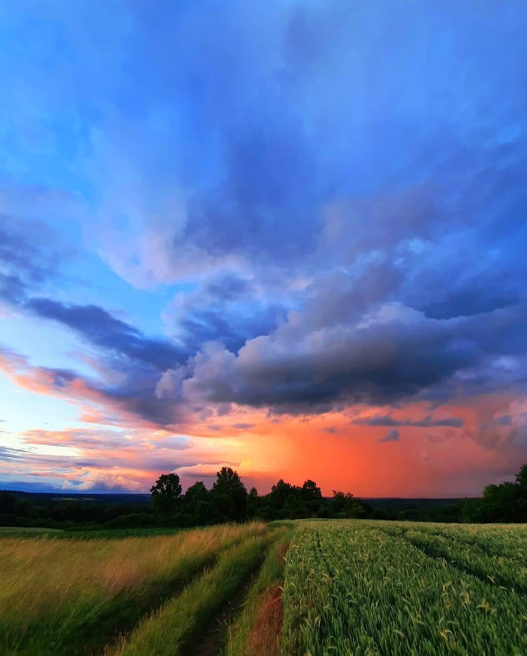 Post 9 by Christian Stolz on Instagram (image)