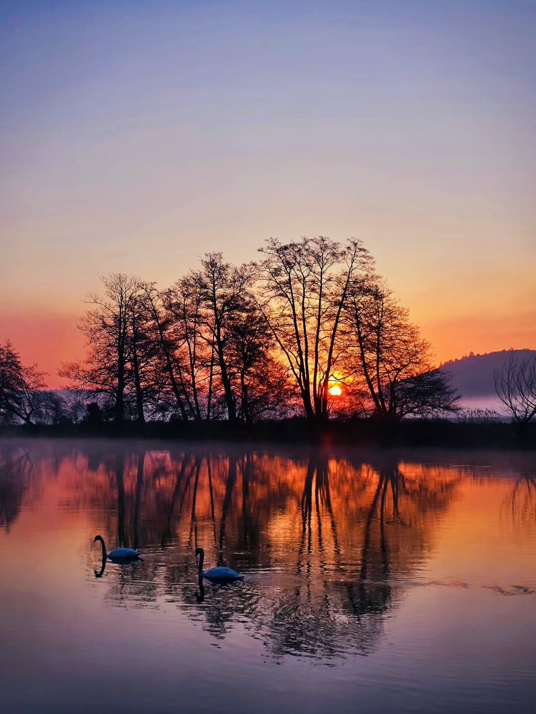 Post 4 by Christian Stolz on Instagram (image)