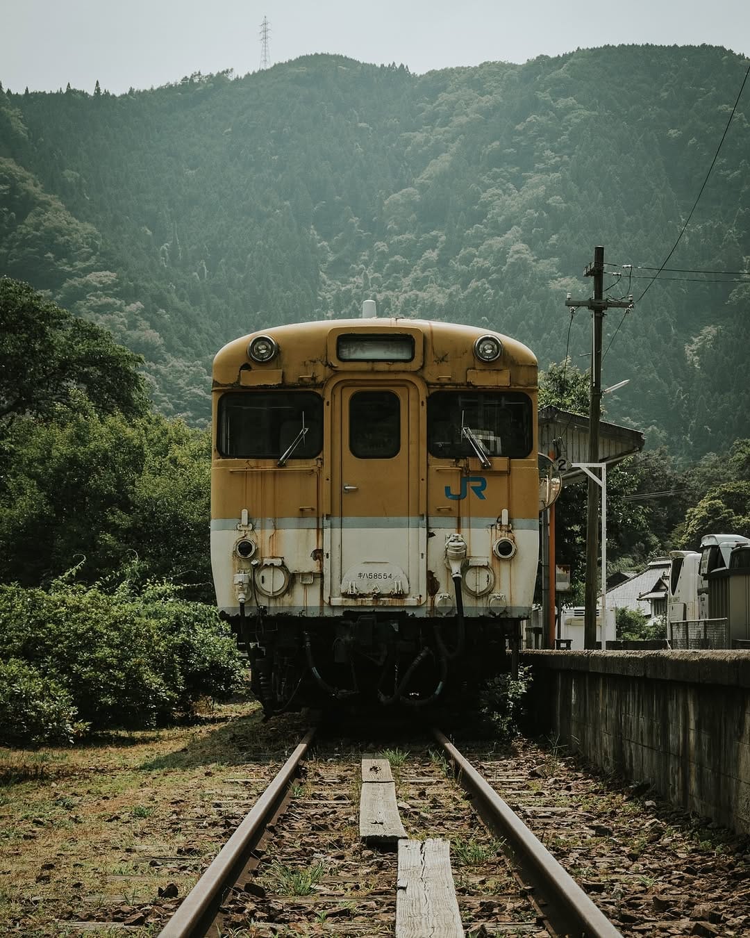 Post 1 by komorebi photos🍃 on Instagram (image)