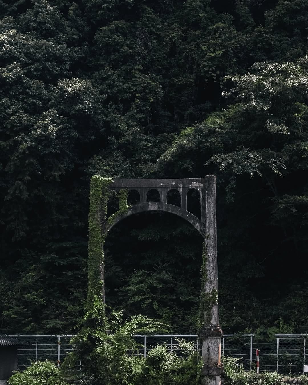 Post 2 by komorebi photos🍃 on Instagram (image)