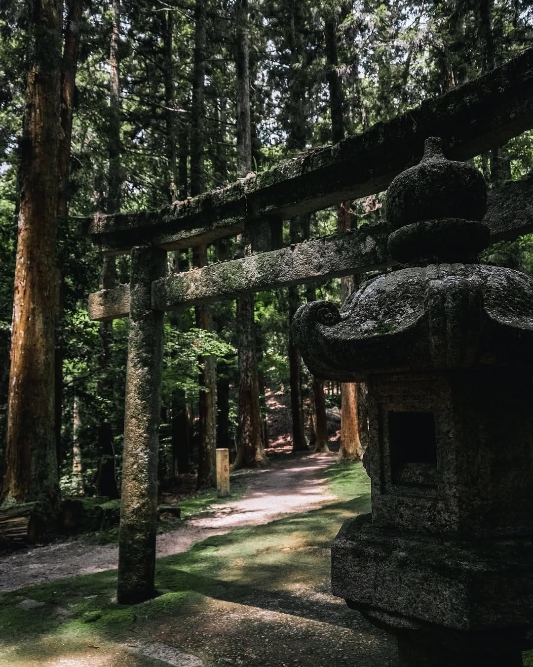 Post 4 by komorebi photos🍃 on Instagram (image)