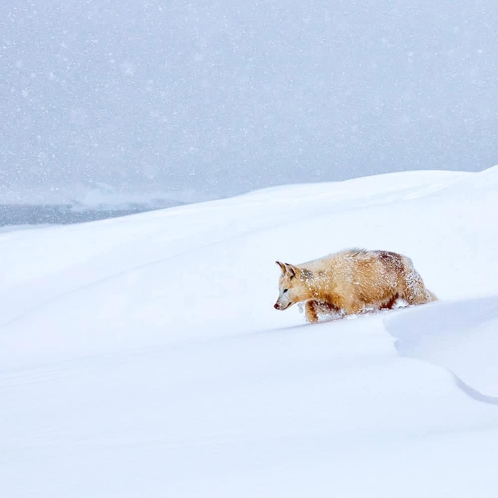 Post 10 by Mareike Schadach on Instagram (image)