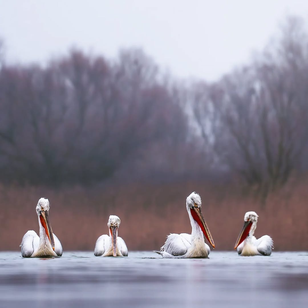 Post 5 by Mareike Schadach on Instagram (image)