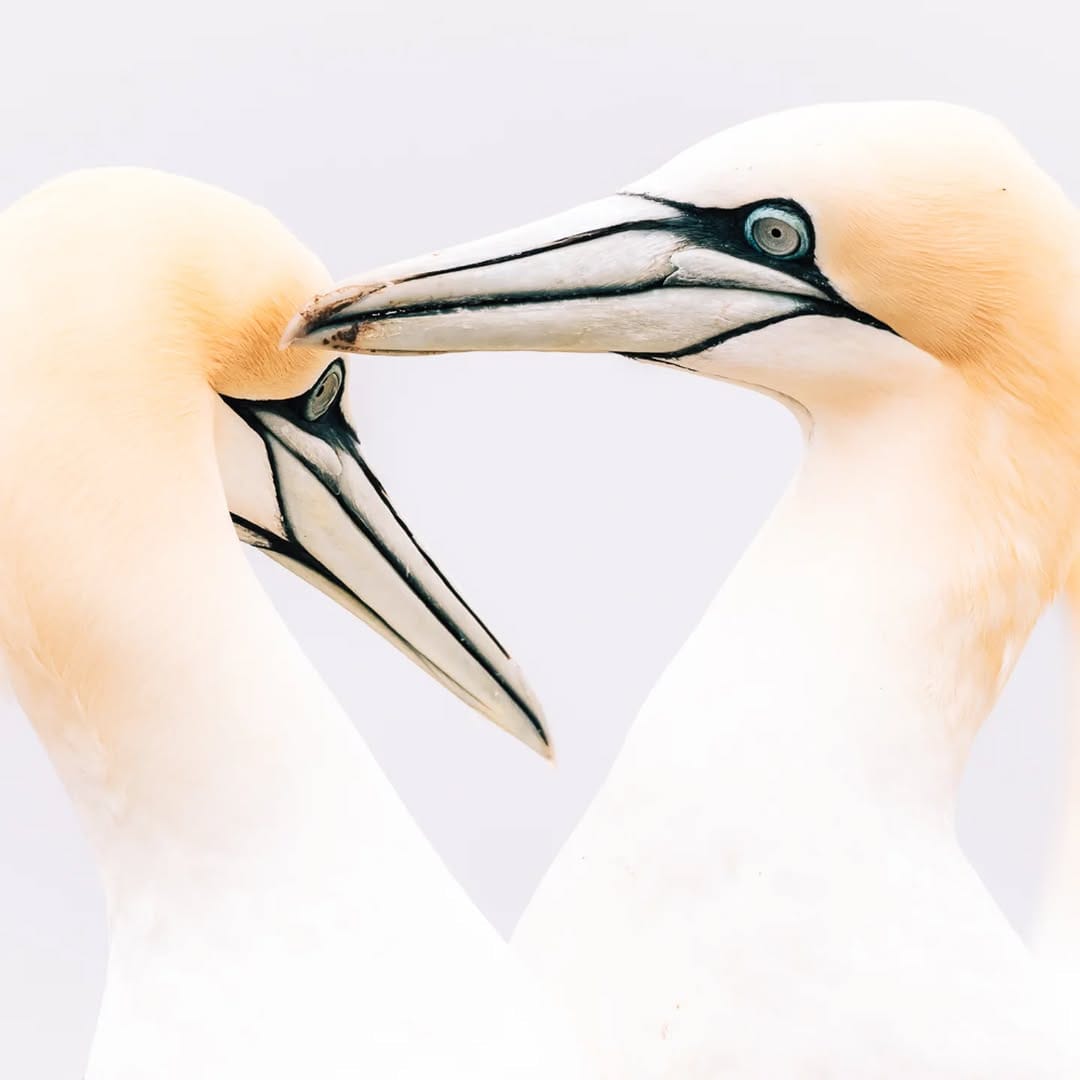 Post 4 by Mareike Schadach on Instagram (image)