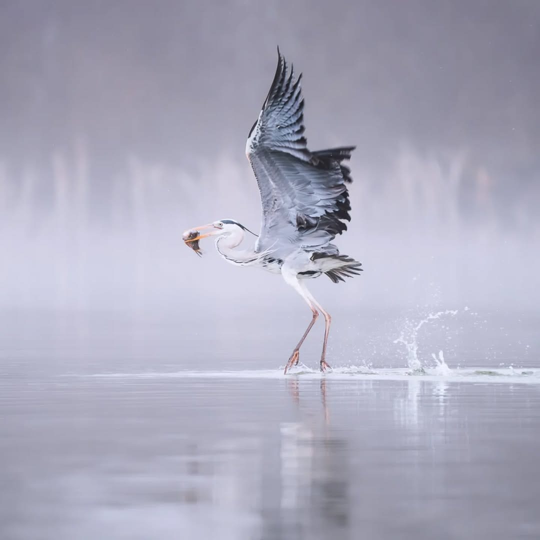 Post 6 by Mareike Schadach on Instagram (image)