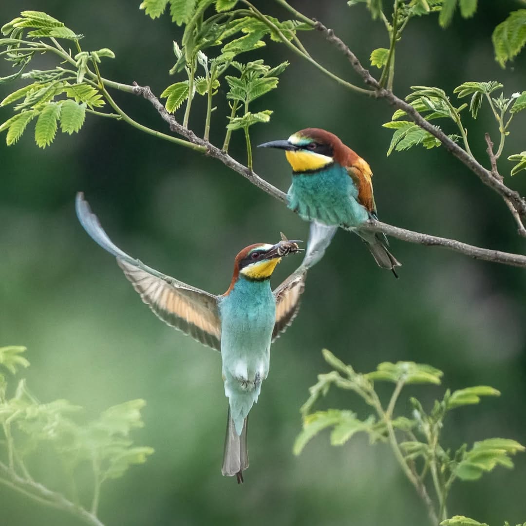 Post 3 by Mareike Schadach on Instagram (image)