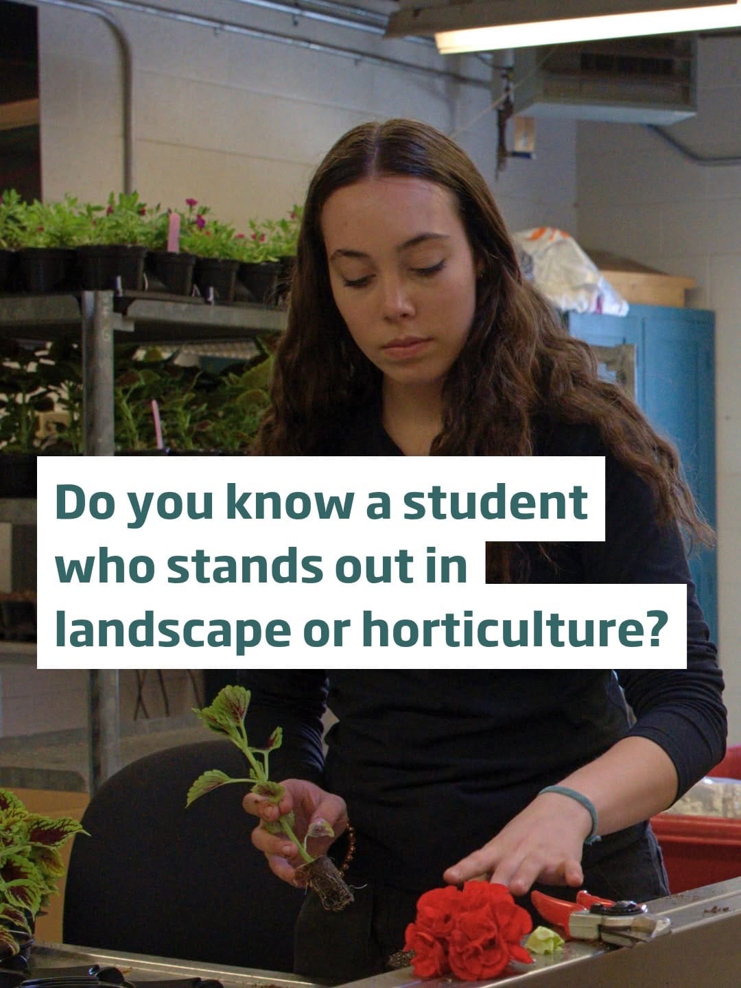 Post 5 by Landscape Ontario Horticultural Trades Association on Instagram (carousel)