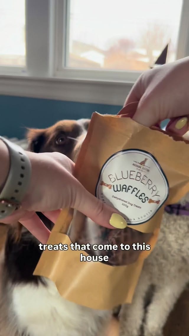 Post 6 by Rescue Coffee Co. | Katie Lunn on Instagram (video)