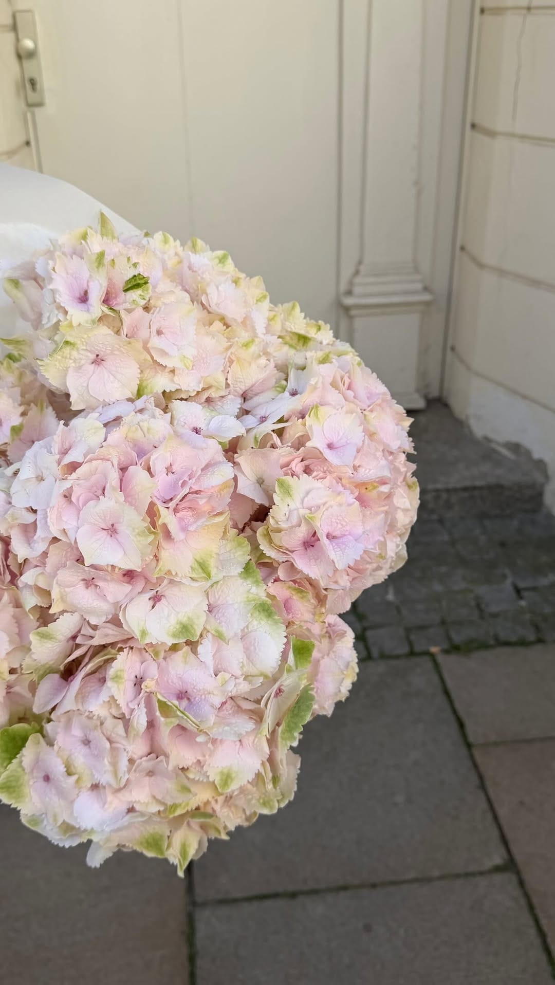 Post 5 by Bloom Flower Studio on Instagram (video)