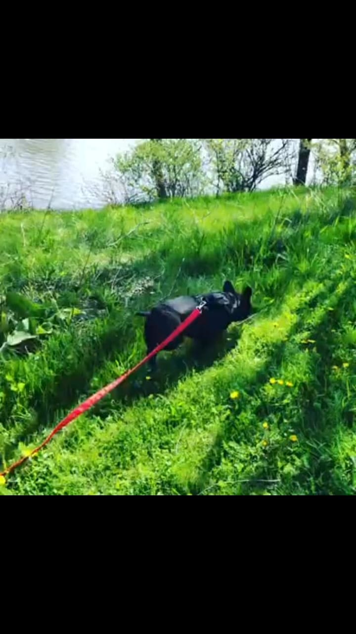 Post 6 by Calvin Chen on Instagram (video)