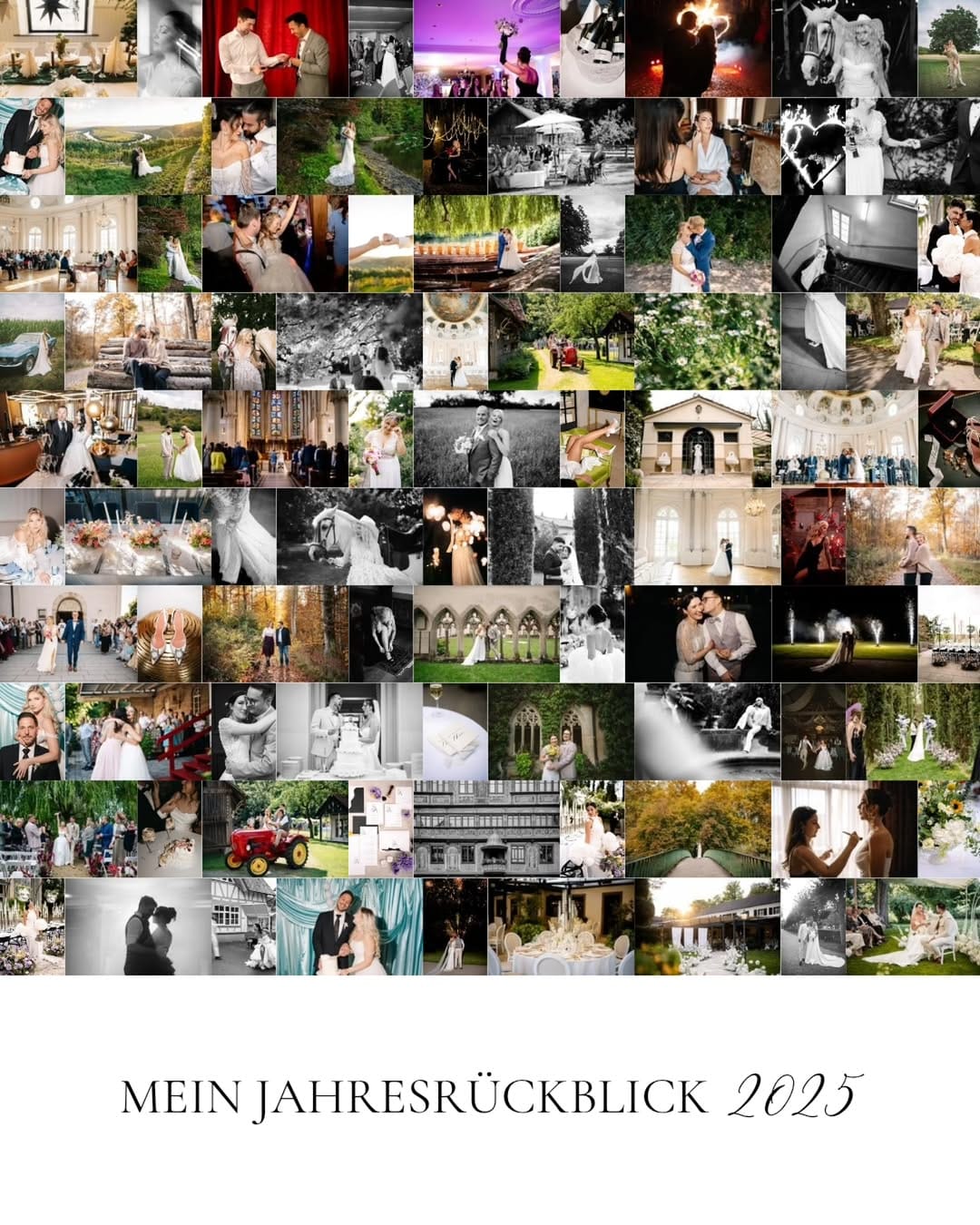 Post 7 by Svetlana Kohlmeier Fotografie on Instagram (image)