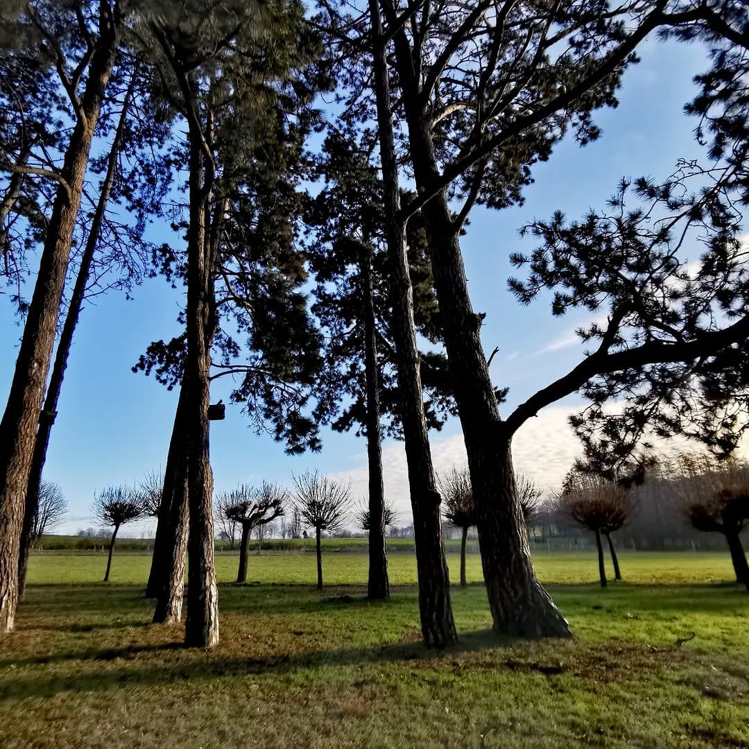 Post 10 by Only I on Instagram (image)